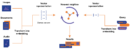 Vector Embedding Tutorial & Example | Nexla