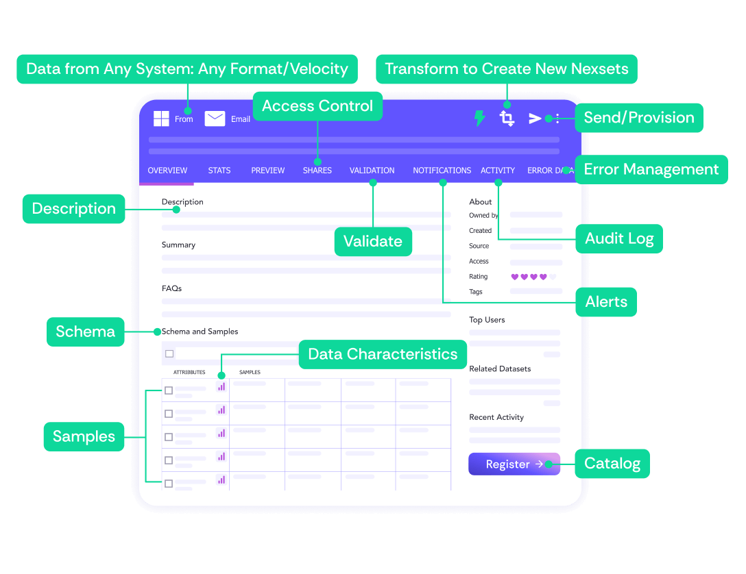 Automatic Nexset Creation