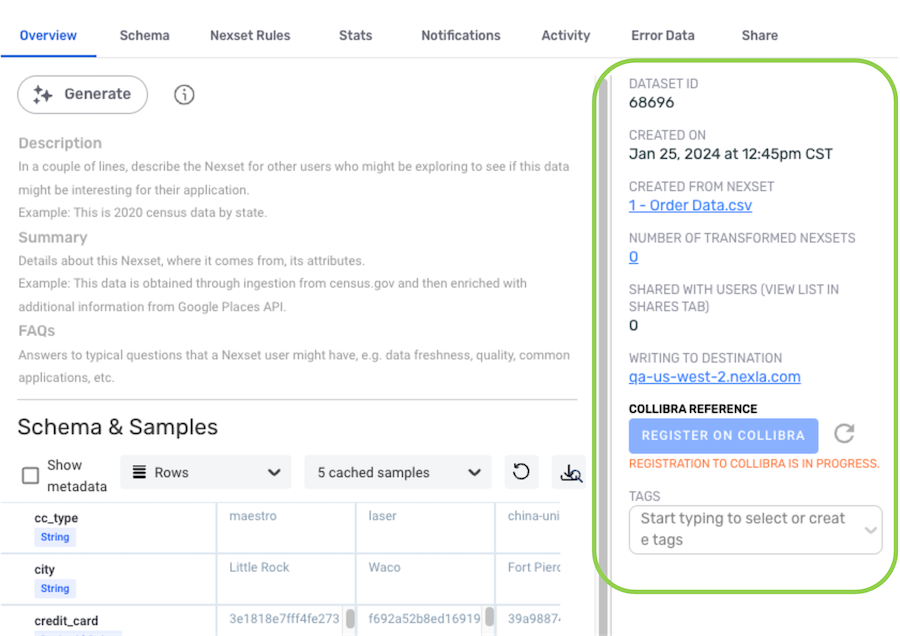 Nexla metadata view for Nexset 